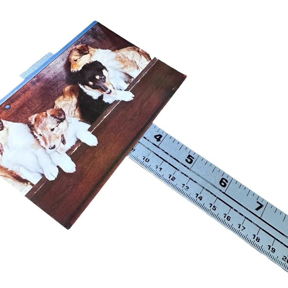 Vintage Mike‎ Roberts Collie Pups Postcard Herbert Lanks Kodachrome Unused 60s